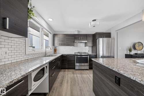 9521 109 Avenue, Edmonton, AB - Indoor Photo Showing Kitchen With Upgraded Kitchen
