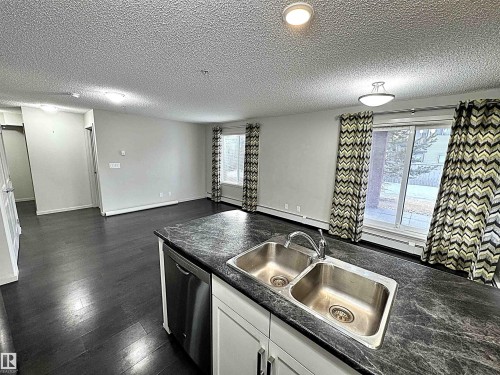 117 5521 7 Avenue, Edmonton, AB - Indoor Photo Showing Kitchen With Double Sink