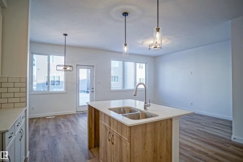 1027 14 Avenue, Edmonton, AB - Indoor Photo Showing Kitchen With Double Sink