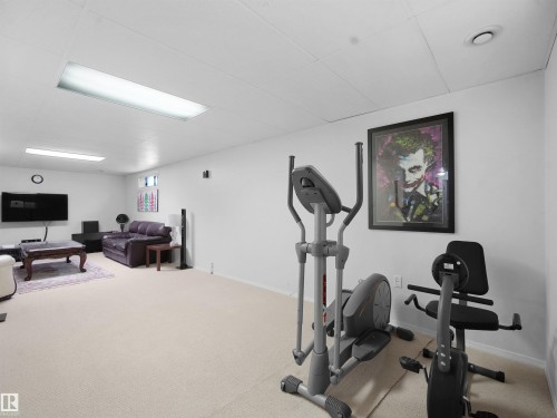 1238 Joyce Crescent, Edmonton, AB - Indoor Photo Showing Gym Room