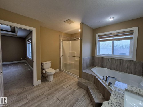 1737 52A Street, Edmonton, AB - Indoor Photo Showing Bathroom