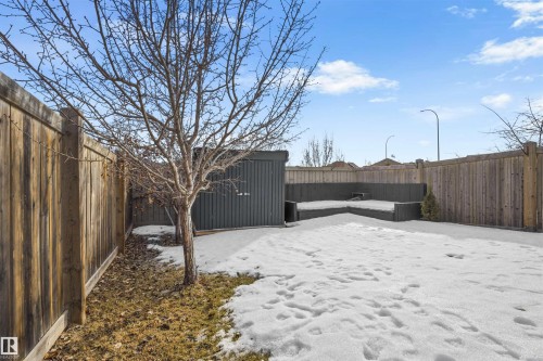 Yard layered in snow with a fenced backyard and a shed - 1965 118 Street, Edmonton, AB - Outdoor