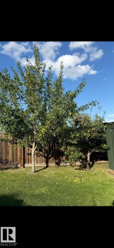 View of fenced yard - 1965 118 Street, Edmonton, AB - Outdoor