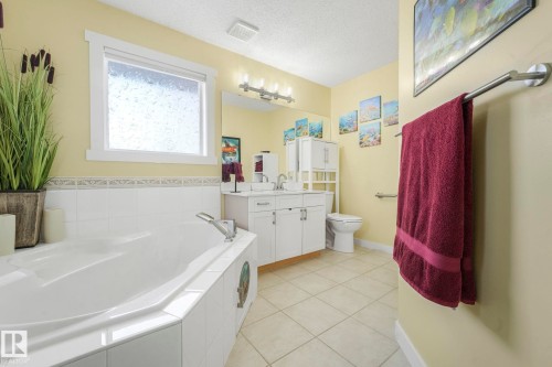 24 2419 133 Avenue, Edmonton, AB - Indoor Photo Showing Bathroom