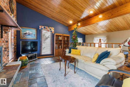 11126 173A Avenue, Edmonton, AB - Indoor Photo Showing Living Room With Fireplace