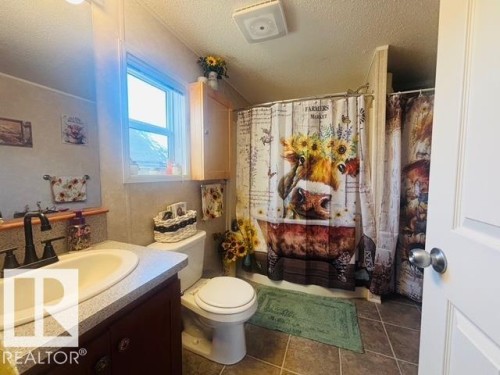 245 Oak Wood Drive Nw, Edmonton, AB - Indoor Photo Showing Bathroom