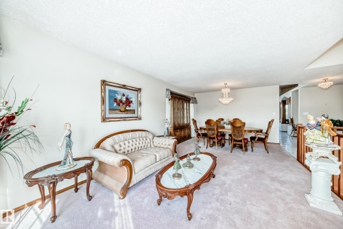 16135 56 Street, Edmonton, AB - Indoor Photo Showing Living Room