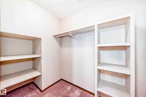 16135 56 Street, Edmonton, AB - Indoor With Storage