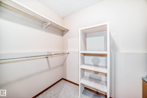 16135 56 Street, Edmonton, AB - Indoor With Storage