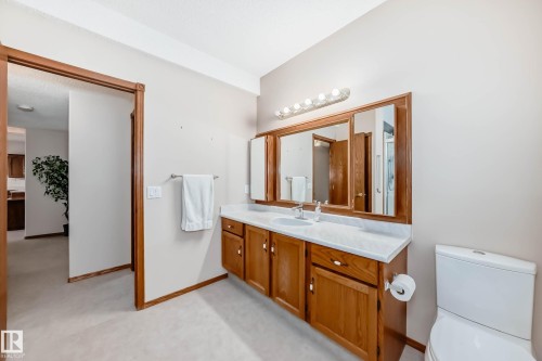 16135 56 Street, Edmonton, AB - Indoor Photo Showing Bathroom