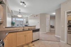 Kitchen with light wood finish cabinets, dark countertops, stainless steel appliances, light colored carpet, and a textured ceiling - 