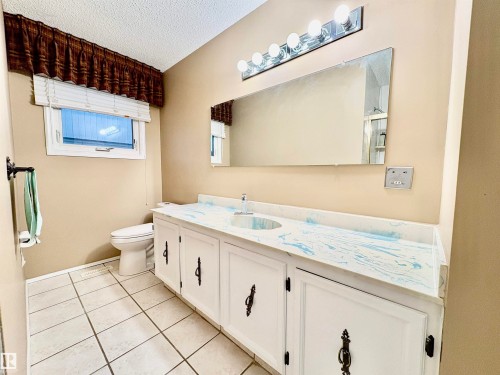 11920 45 Street, Edmonton, AB - Indoor Photo Showing Bathroom