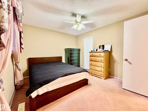 11920 45 Street, Edmonton, AB - Indoor Photo Showing Bedroom