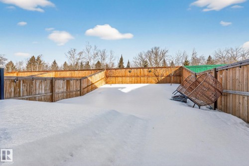 Yard covered in snow with a fenced backyard - 74 Royal Street, St. Albert, AB - Outdoor