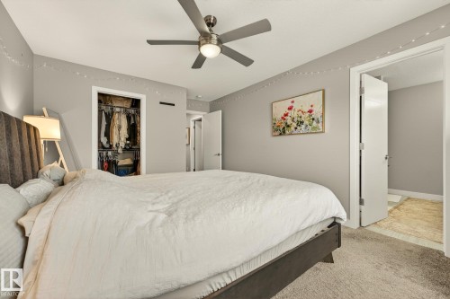 Bedroom with carpet flooring, a ceiling fan, and a walk in closet - 74 Royal Street, St. Albert, AB - Indoor Photo Showing Bedroom