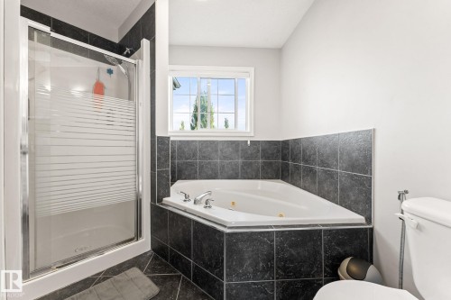 10655 181 Avenue, Edmonton, AB - Indoor Photo Showing Bathroom