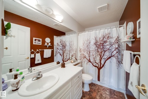 411 6703 172 Street, Edmonton, AB - Indoor Photo Showing Bathroom