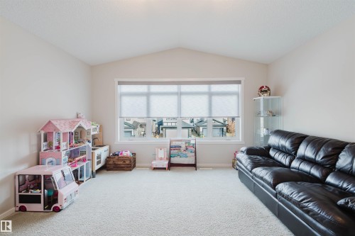 20741 98A Avenue, Edmonton, AB - Indoor Photo Showing Living Room