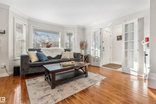21348 88 Avenue, Edmonton, AB - Indoor Photo Showing Living Room