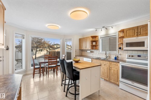 21348 88 Avenue, Edmonton, AB - Indoor Photo Showing Kitchen With Double Sink