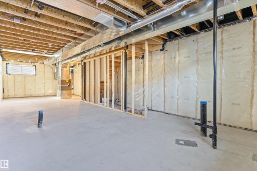 20707 43 Avenue, Edmonton, AB - Indoor Photo Showing Basement