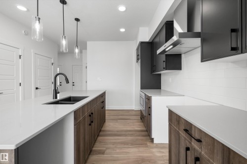 622 176 Avenue, Edmonton, AB - Indoor Photo Showing Kitchen With Double Sink With Upgraded Kitchen