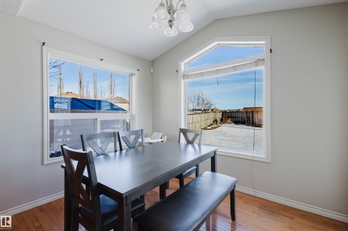 Dining space with suspended lighting, wood-type flooring, lofted ceiling, and healthy amount of natural light - 3534 Mclean Crescent, Edmonton, AB - Indoor Photo Showing Dining Room