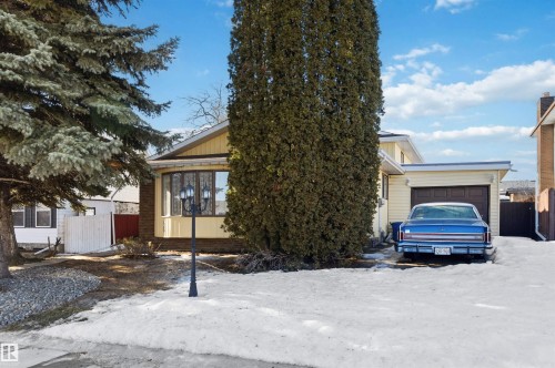 View of property hidden behind natural elements with an attached garage - 135 Humberstone Road, Edmonton, AB - Outdoor