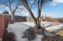 Fenced backyard featuring a storage shed - 135 Humberstone Road, Edmonton, AB  - Outdoor 
