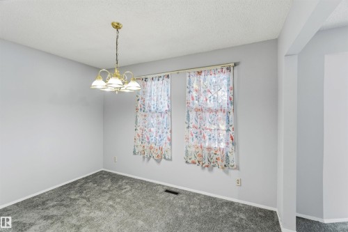 Carpeted spare room featuring a textured ceiling and hanging lights - 135 Humberstone Road, Edmonton, AB - Indoor Photo Showing Other Room
