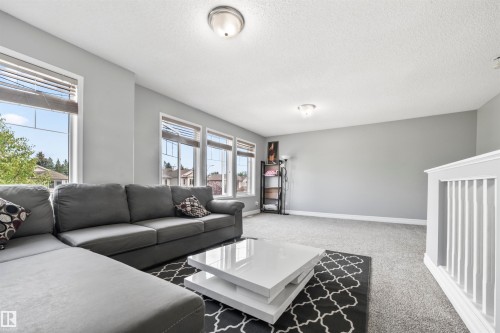 324 79 Street, Edmonton, AB - Indoor Photo Showing Living Room