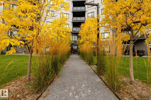 View of community with a yard - 7471 May Common, Edmonton, AB - Outdoor