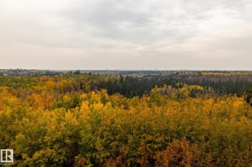 View of wooded area - 7471 May Common, Edmonton, AB - Outdoor With View