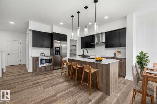 4039 207 Street, Edmonton, AB - Indoor Photo Showing Kitchen With Upgraded Kitchen