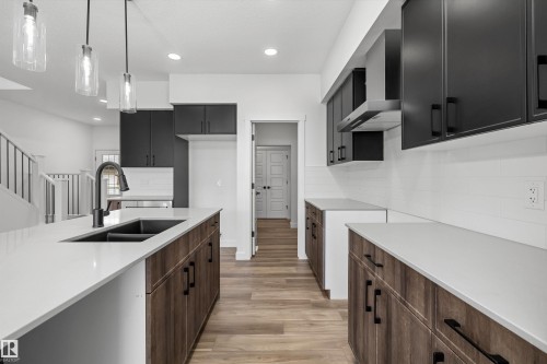 4039 207 Street, Edmonton, AB - Indoor Photo Showing Kitchen With Double Sink With Upgraded Kitchen