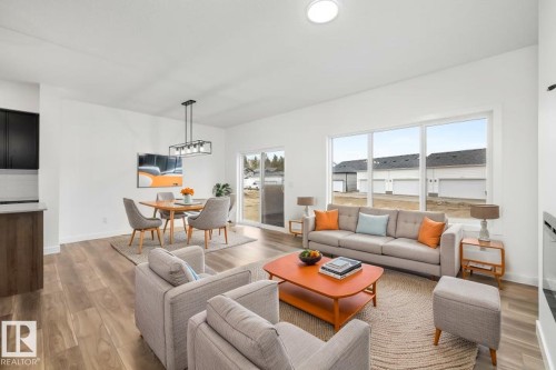 4039 207 Street, Edmonton, AB - Indoor Photo Showing Living Room