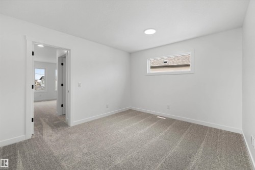4039 207 Street, Edmonton, AB - Indoor Photo Showing Other Room
