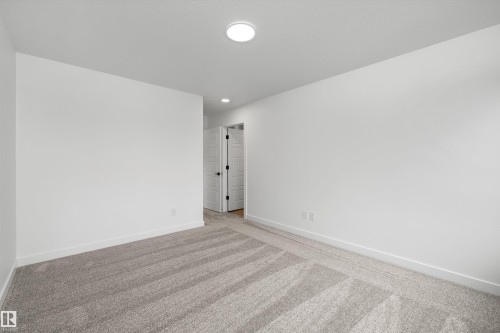 4039 207 Street, Edmonton, AB - Indoor Photo Showing Other Room