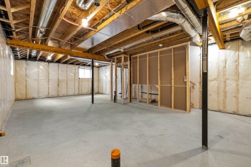 4039 207 Street, Edmonton, AB - Indoor Photo Showing Basement