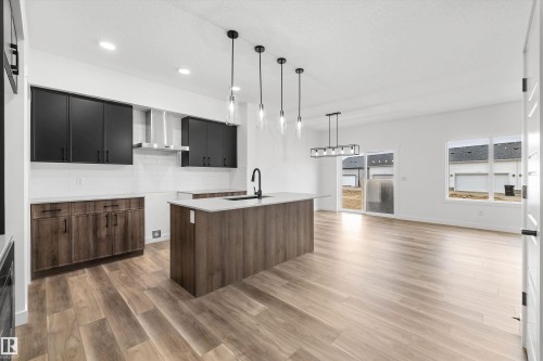 4039 207 Street, Edmonton, AB - Indoor Photo Showing Kitchen