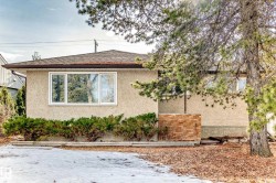 8639 64 Avenue NW  Edmonton, AB T6E 0H4
