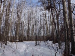 20 53102 rge rd 31  Rural Parkland County, AB T0G 1L0