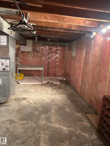 11243 125 Street, Edmonton, AB - Indoor Photo Showing Basement