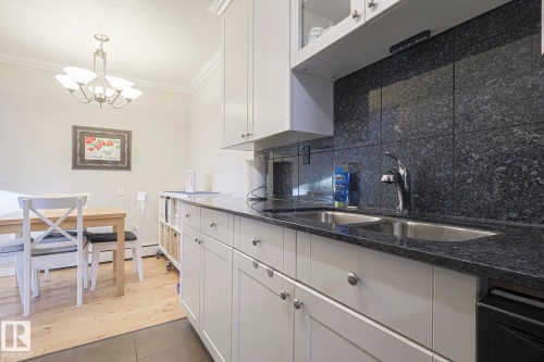 207 9925 83 Avenue, Edmonton, AB - Indoor Photo Showing Kitchen With Double Sink