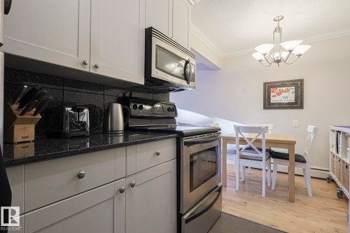 207 9925 83 Avenue, Edmonton, AB - Indoor Photo Showing Kitchen