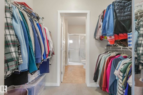 Walk in closet featuring light carpet - 122 304 Ambleside Link Link, Edmonton, AB - Indoor With Storage