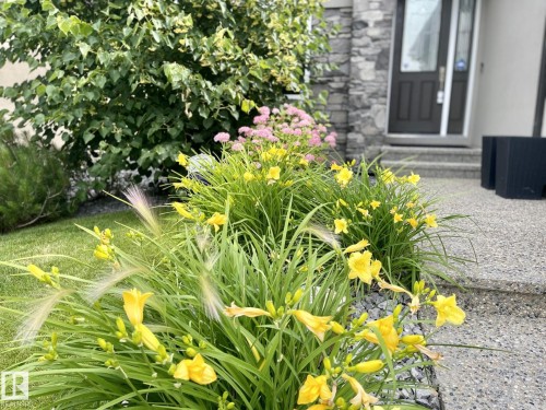 1025 Huckell Place, Edmonton, AB 