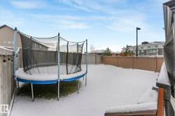 Fenced backyard featuring a trampoline - 