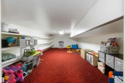 Playroom with dark colored carpet - 