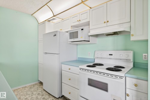 301 10511 42 Avenue, Edmonton, AB - Indoor Photo Showing Kitchen